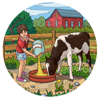 Happy Farm