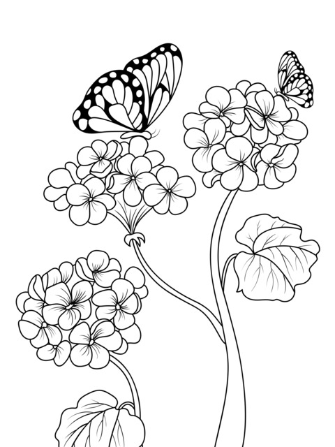 Flowers and Butterflies Coloring Page