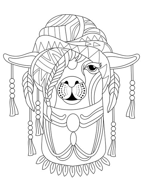 Exotic Alpaca Coloring Page