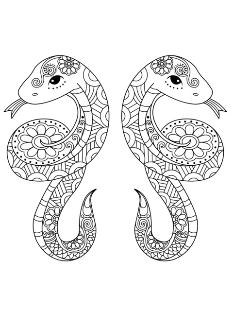 Double - Snake Pattern Coloring Page