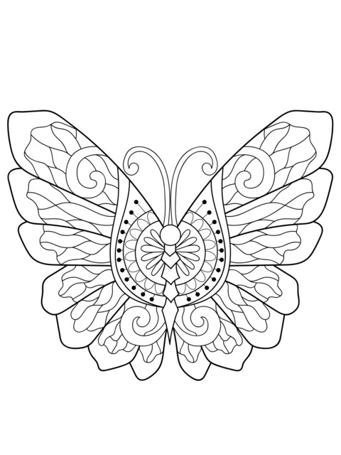 Gorgeous Butterfly Coloring Page