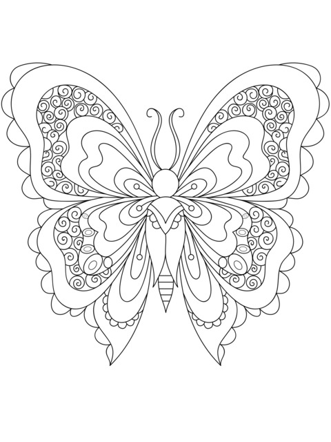 Página para colorear de mariposa con patrones coloridos