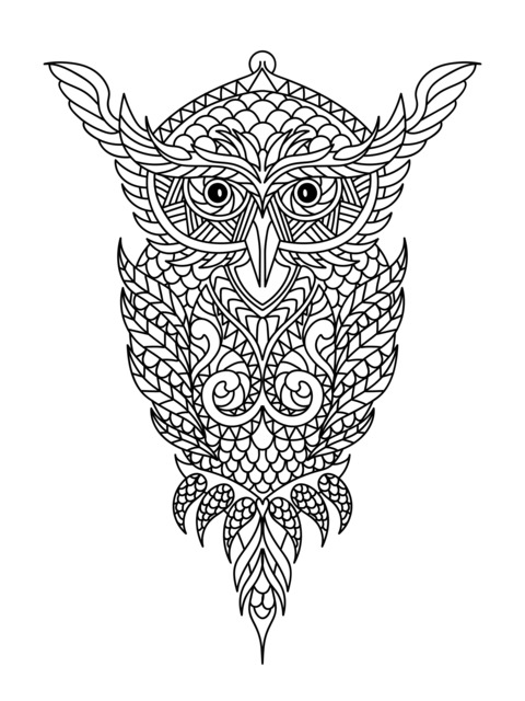 Colorful Decorative Owl Pattern