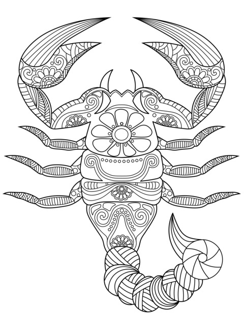 Beautiful Scorpion - themed Coloring Page