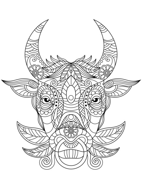 Colorful Bull Head Coloring Page