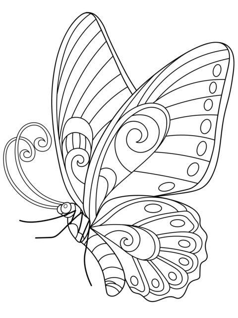 Beautiful Butterfly Coloring Page