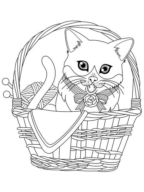 Cat in the Basket