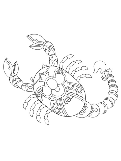 Colorful Scorpion Coloring Page