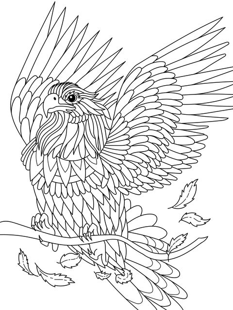 Coloring Page of a Spreading - winged Eagle