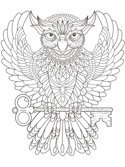 Fantasy Owl Coloring Page: A Gorgeous Bird Holding a Key