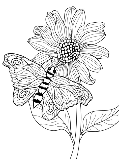 Página para colorear de mariposa y girasol