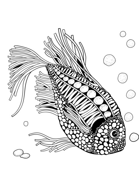 Colorful and Fantastic Fish Coloring Page