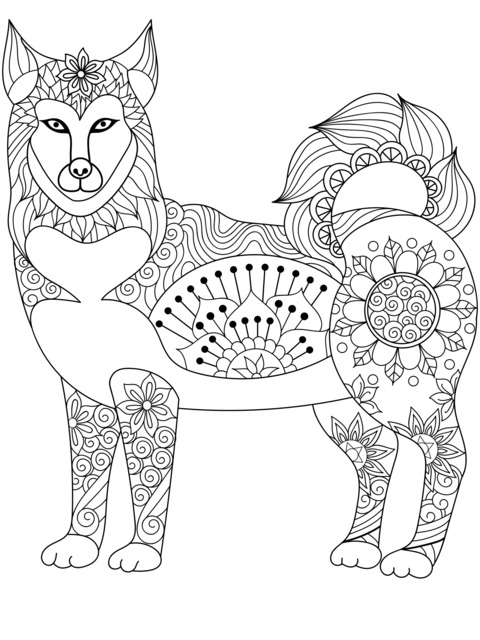 Ornamented Dog