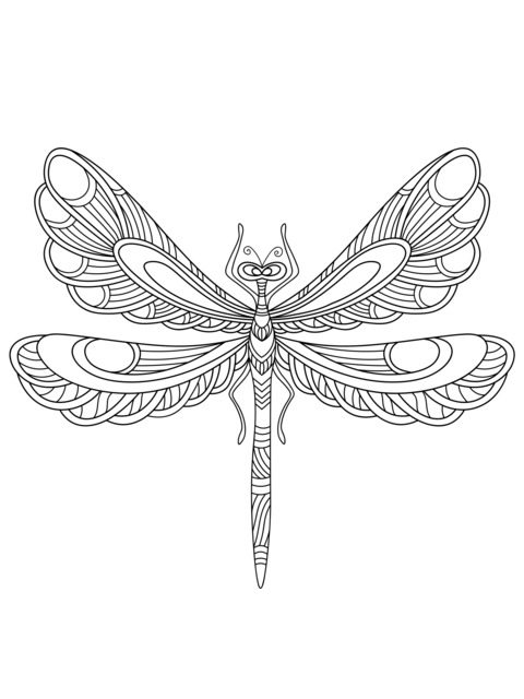 Beautiful Dragonfly Coloring Page