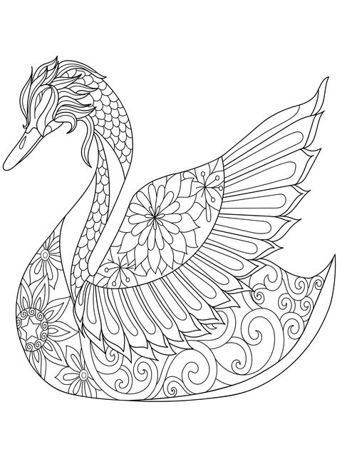  Cisne con estilo ornamental