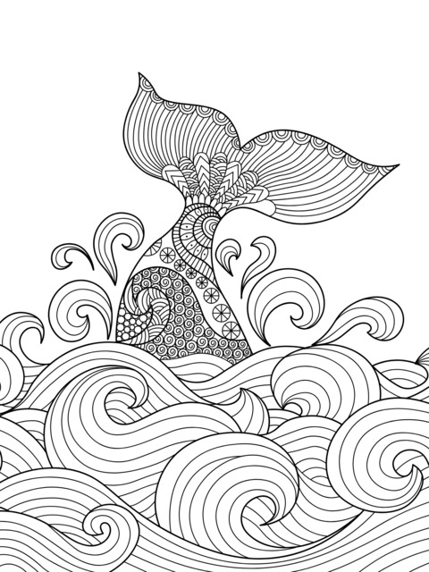 Coloring Page of a Colorful Whale Tail