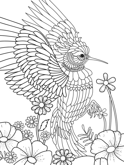 Colorful Hummingbird Coloring Page