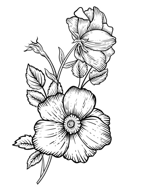 Exquisite Flower Coloring Page: Two Beautiful Flowers and Green Leaves