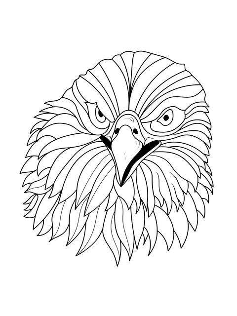 Illustration of an Eagle's Head