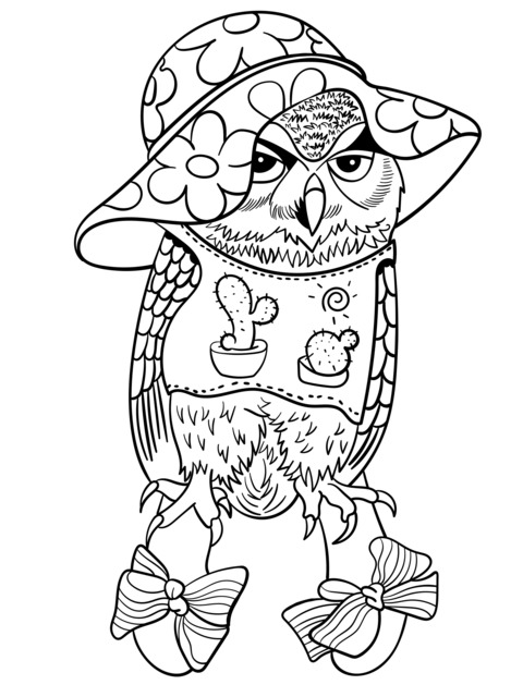 Fashion - dressed Owl