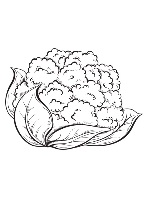 Cauliflower