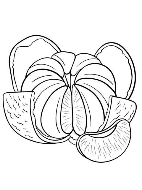 Peeled Orange Coloring Page