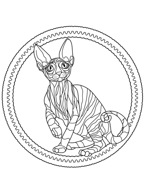 Painted Sphynx Cat in a Circle