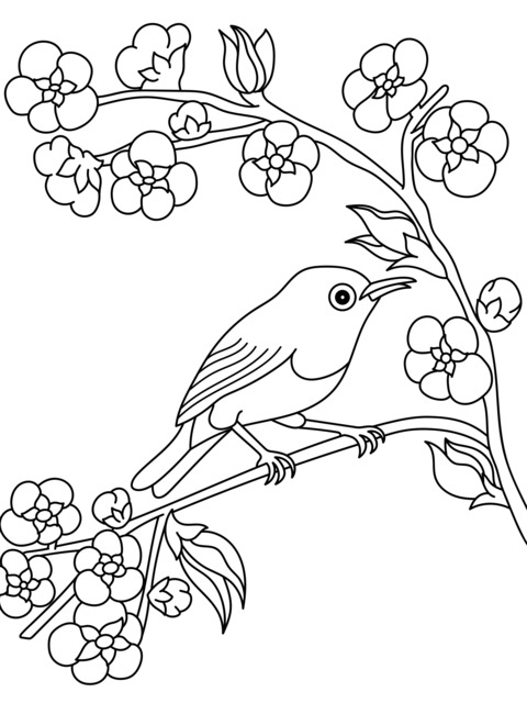 A small bird on a flower - laden branch