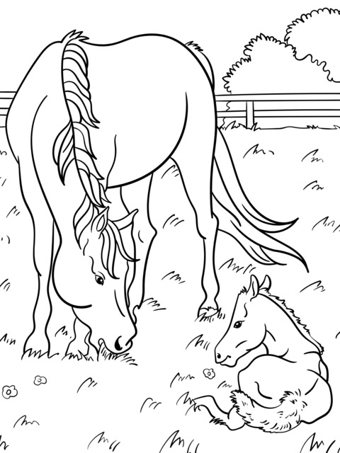 Coloring Page of a Mare and a Foal