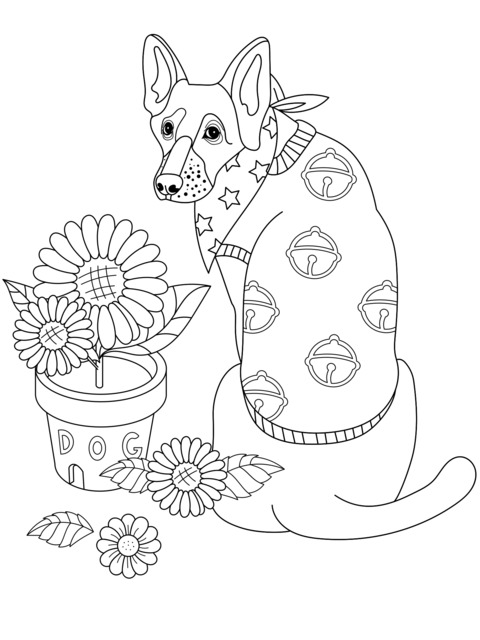 A Dog in a Floral - patterned Sweater and Potted Flowers