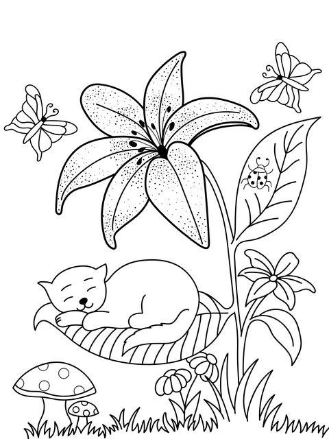 Cat, Flower and Butterfly Coloring Page