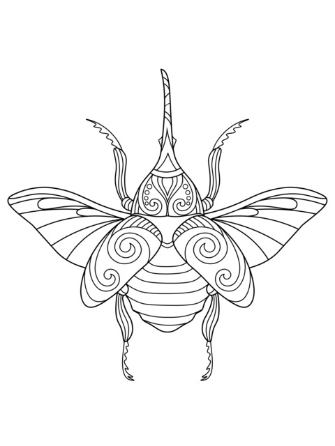 Colorful Beetle Coloring Page