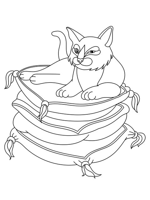 Cute Cat Lying on Pillows Coloring Page