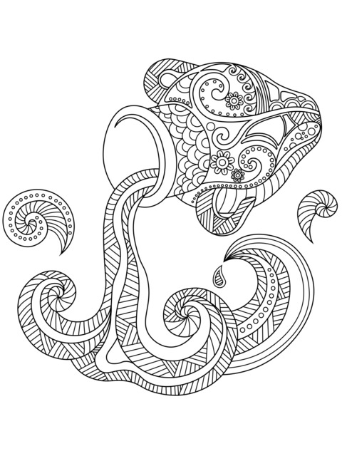 Colorful Chameleon Coloring Page