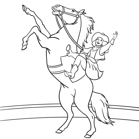 Person riding a horse