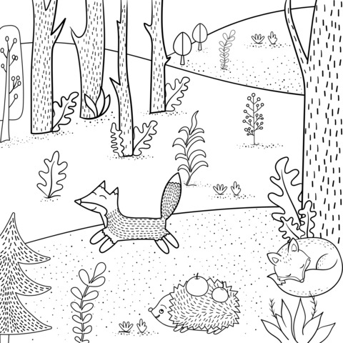 Forest Animals Coloring Page: Lively Fox and Hedgehog