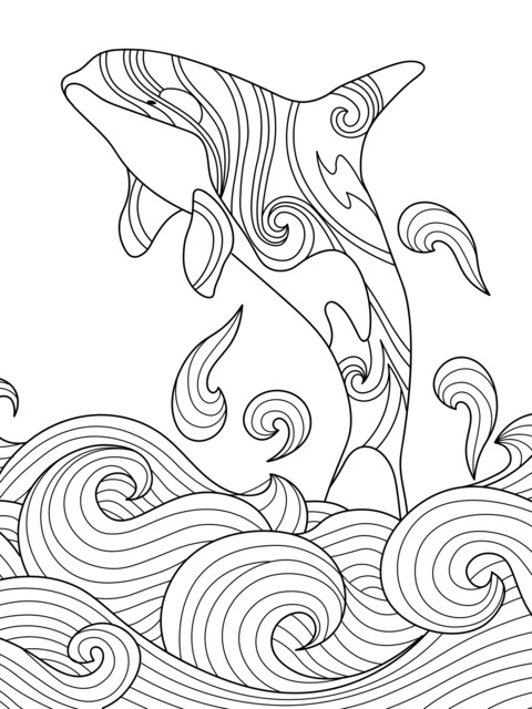 Exquisite Whale Coloring Page Leaping out of the Waves