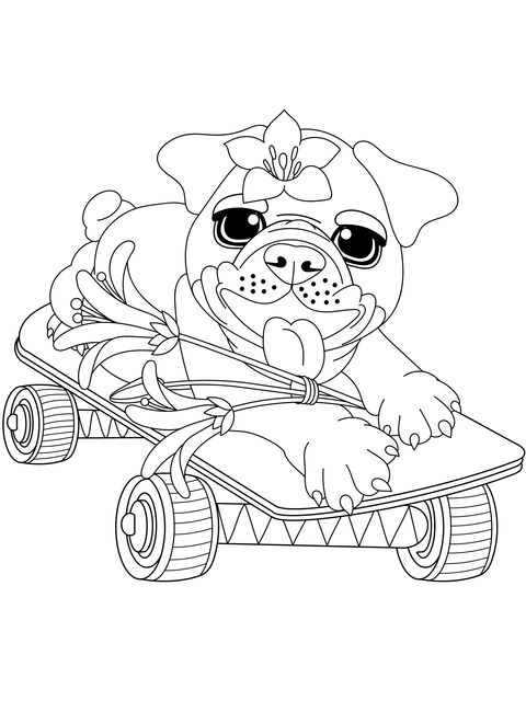 Pug on a Skateboard Coloring Page