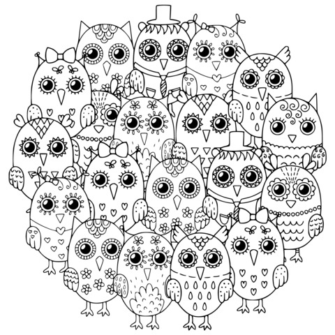 Group Portrait of Colorful Owls