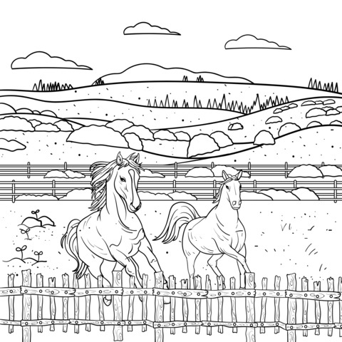 Two horses galloping in the field