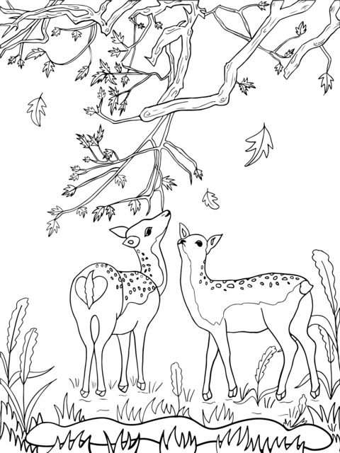 Adorable Deer and Natural Landscape Coloring Page