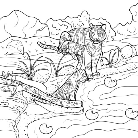 Tiger Family in Natural Scene Coloring Page