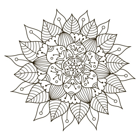 Beautiful Colored Mandala Coloring Page