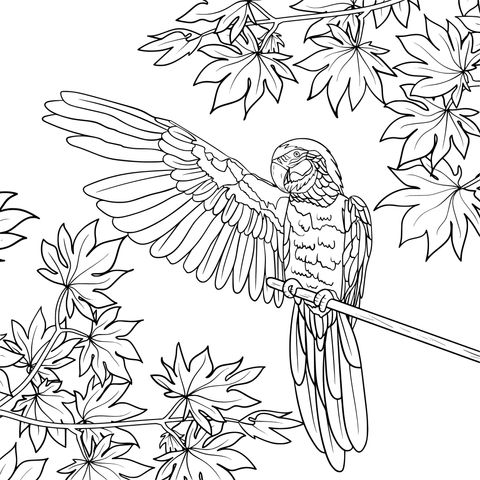 Coloring Page: A Parrot Spreading Its Wings with Green Leaves