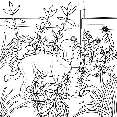 Dog Sniffing Flowers Coloring Page