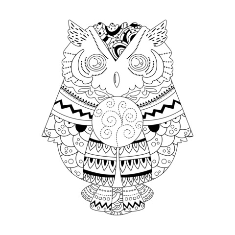 Exquisite Decorated Owl Coloring Page