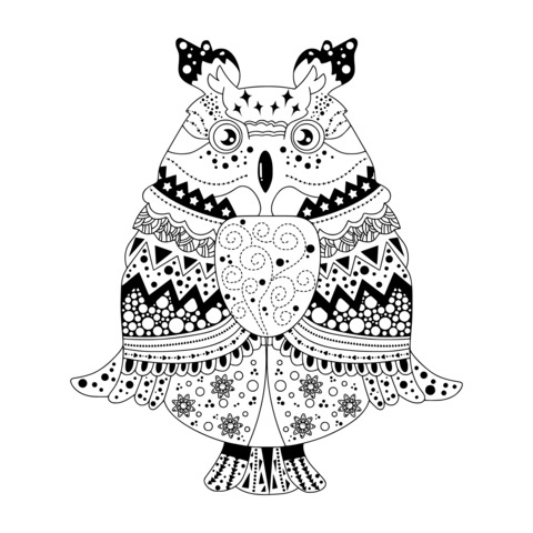 Colorful Decorative - style Owl