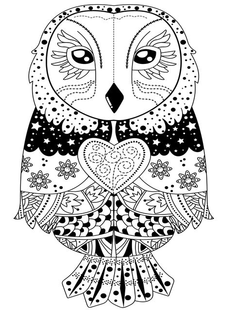 Beautiful Decorative Owl Coloring Page