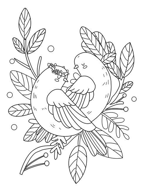 Coloring Page of Love - bird Doves and Foliage