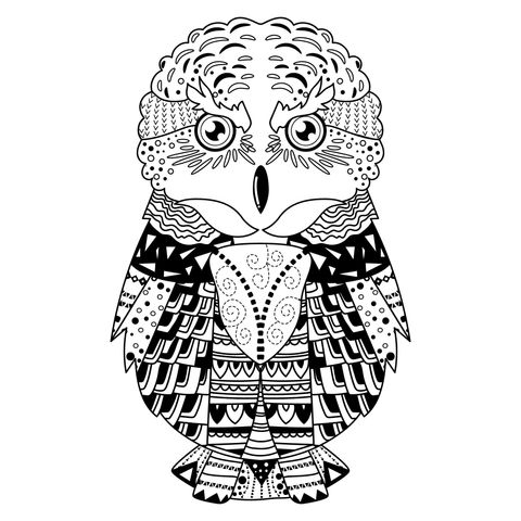 Colorful Owl Coloring Page